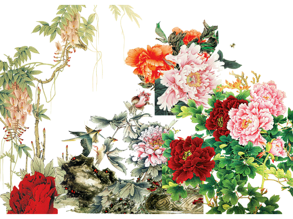 國色天香，優(yōu)雅綻放 解析《牡丹花》PNG免摳圖素材的藝術(shù)價值與應用場景
