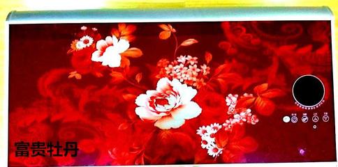 攜手順太樂，共贏綠色未來 誠征節能健康環保電熱兩用熱水器代理經銷商